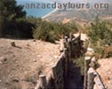 Anzac Day Gallipoli Troy tours